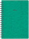 Next Diary 2025 Prespan Daily Spiral Green 17x25cm