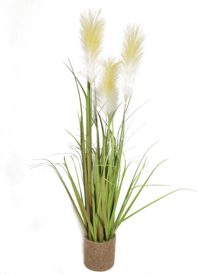 Gras in Topfpflanze Home & Camp