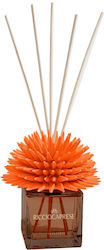 Riccio Caprese Diffuser 200ml