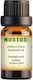 Sandelholz Indisches ätherisches Öl 1ml