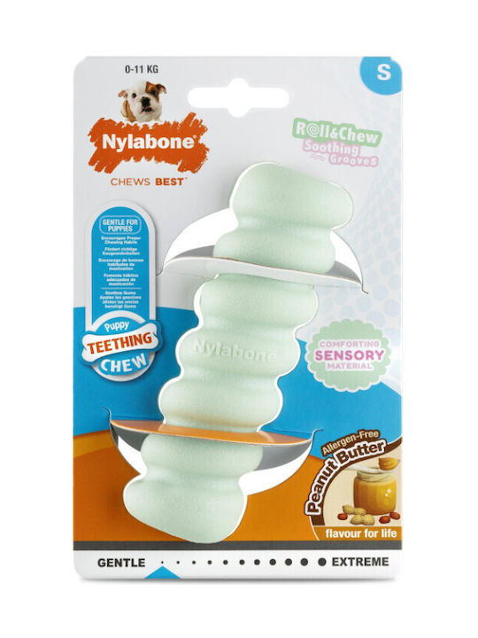 Nylabone Toy for Puppies