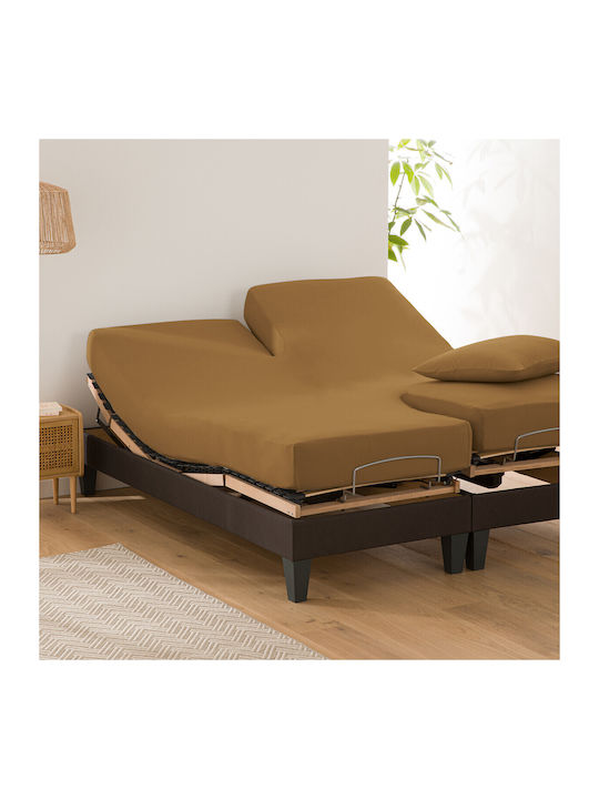 La Redoute Interieurs Cearșaf Dublu cu Elastic 140x190+25cm. Maro
