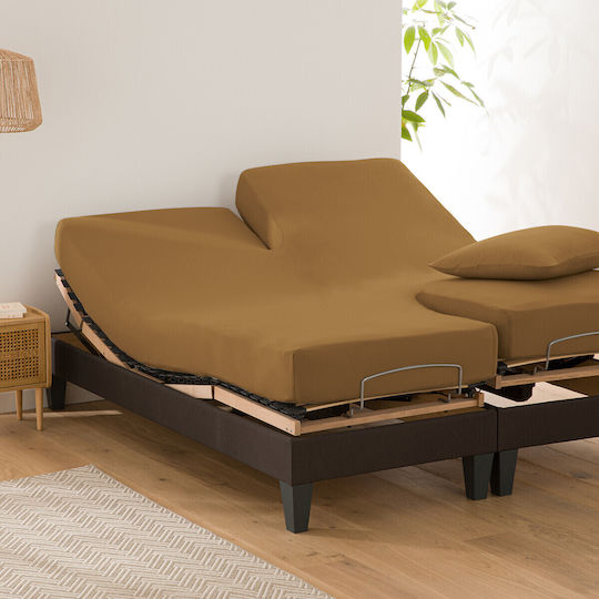 La Redoute Interieurs Cearșaf Dublu cu Elastic 140x190+25cm. Maro