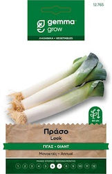 Γιγας Seeds Leek Green