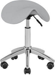 Salon Stools Τροχήλατο Σκαμπό με Πλάτη Γκρι Salon Stools Τροχήλατο Σκαμπό με Πλάτη Γκρι