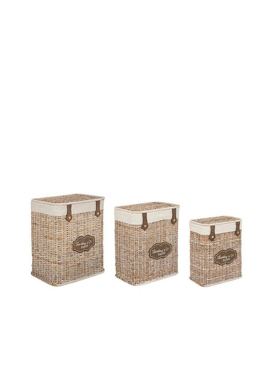 Bizzotto Coș de rufe Wicker 48x36x58cm Bej