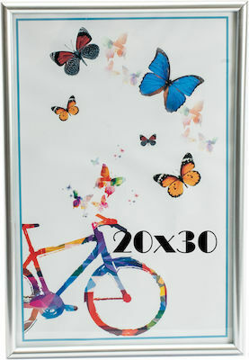 Frame Plastic 20cmx30cm with Silver Frame