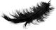 Small Black Feather 9.5cm 50pcs