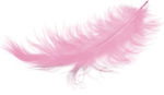 Large Pink Feather 13.5cm 50pcs