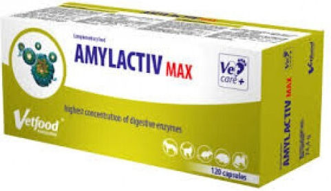 Vetfood Probiotika für Hunde für Magen-Darm-Erkrankungen