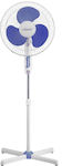 Maestro Pedestal Fan 60W Diameter 40cm White-Blue