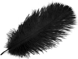 Grajmy razem Love Feather Pană pentru Gâdilat în Culoare Negru