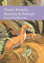 Stoats, Weasels, Martens And Polecats