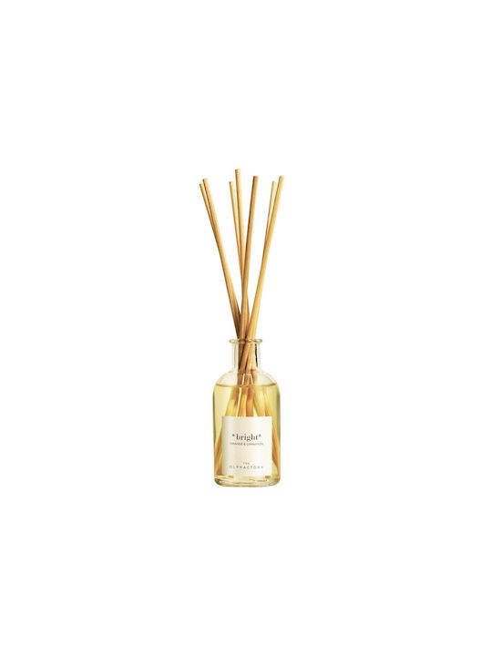 Αρωματικό Χώρου Στικς 100ml Orange & Cinnamon Bright Diffuser Olphactory
