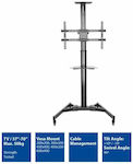 Act TV Mount Floor up to 70" and 50kg Black