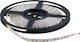 Waterproof LED Strip 24V Blue Light 5m Type SMD3528