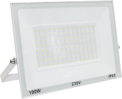 Adeleq Αδιάβροχος LED Προβολέας 100W Топло бяло...