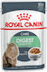 Royal Canin Digest Sensitive Υγρή Τροφή για Ενήλικες Γάτες σε Φακελάκι με Πουλερικά 85gr
