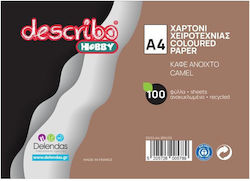 Describo Carton A4 100 Foi Maro