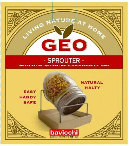Geo Humus Vase General Use with Lid & Base Glass White