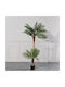 Artificial Outdoor Tree Palm Tree Green 170cm Supergreens