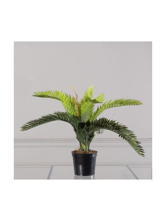 Φοίνικας σε Γλαστράκι 25cm Supergreens