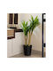 Künstlicher Baum für den Außenbereich Dracaena Grün 120cm Gardin