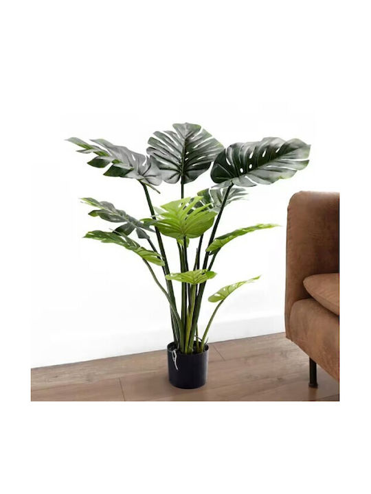 Μονστέρα σε Γλάστρα 70cm Gardin