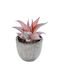 Globostar Artificial Garden Succulent Aloe 21032 Decorative Plant Succulent Aloe H11cm