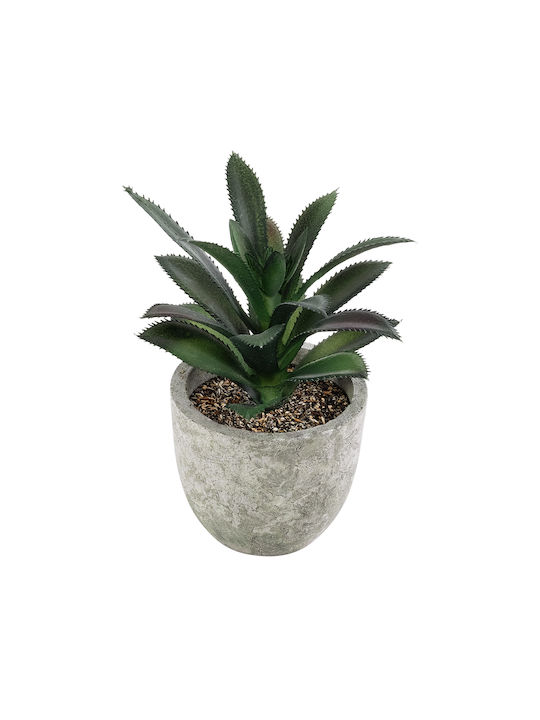 Globostar? Artificial Garden Succulent Aloe 21011 Διακοσμητικό Φυτό Παχύφυτο Αλόη Υ13cm Globostar? Artificial Garden Succulent Aloe 21011 Διακοσμητικό Φυτό Παχύφυτο Αλόη Υ13cm