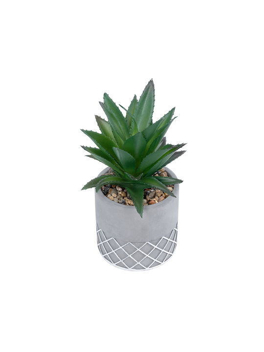 Globostar? Artificial Garden Succulent Aloe 21096 Διακοσμητικό Φυτό Παχύφυτο Αλόη Υ17cm Globostar? Artificial Garden Succulent Aloe 21096 Διακοσμητικό Φυτό Παχύφυτο Αλόη Υ17cm
