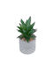 Globostar? Artificial Garden Succulent Aloe 21096 Decorative Plant Succulent Aloe H17cm
