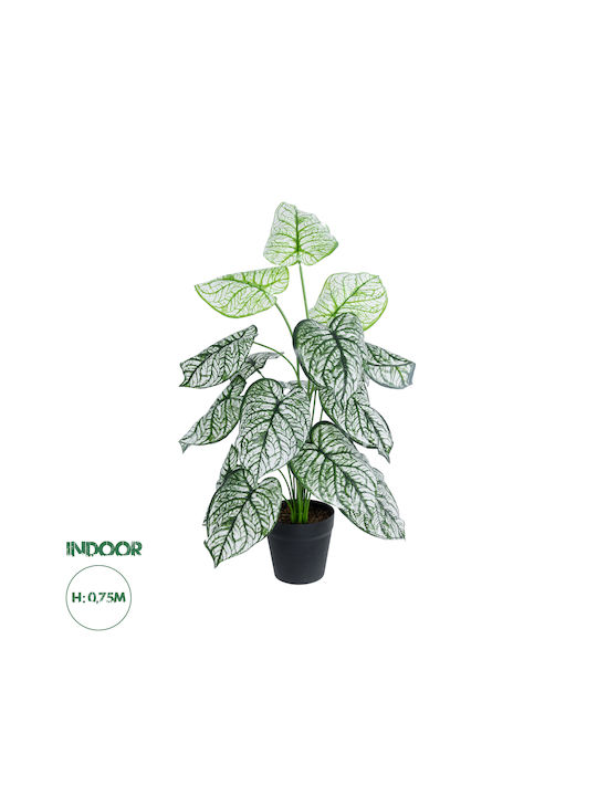 Globostar? Artificial Garden Caladium 20908 Διακοσμητικό Φυτό Καλάδια Υ75cm