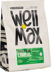 Wellmax Adult Dog Lamb Hypoallergenic 2kg