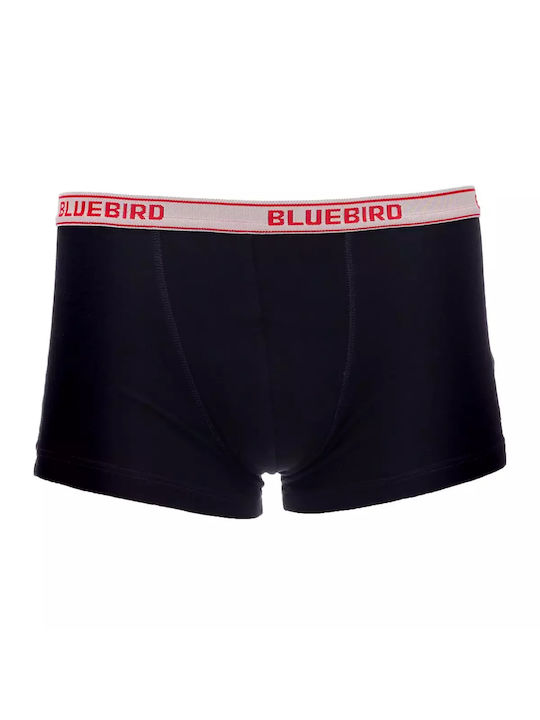 Palco Herren Boxershorts Black 1Packung