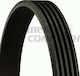 Continental Poly-v Contitech Ιμάντας Κινητήρα Αυτοκινήτου 5PK1715