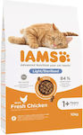 Iams Ξηρά Τροφή Γάτας 10kg