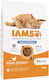 Iams Katzen-Trockenfutter 10kg