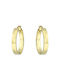 Earrings Hoops made of Gold 14K