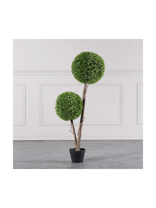 Buxus На Открито 120см Supergreens