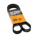 Transmission Belt Fiat Punto 188 Contitech 6pk1230