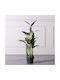 Künstlicher Baum für den Außenbereich Paradiesvogel Grün 100cm Supergreens