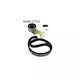 Land Rover Freelander Ln Distribution Kit Contitech Ct929k2