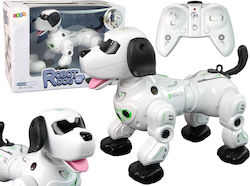 Interaktiver ferngesteuerter Roboterhund