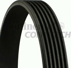 Transmission Belt Audi A3 8p1 Contitech 6pk900