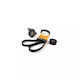Set Transmission Belt Dacia Logan Pick-up Us Contitech 5pk1750k1
