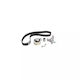 Timing Belt Kit Audi A2 8z0 Contitech Ct1090k2