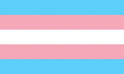 Pride Transexual Flag 90 X 150