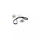 Water Pump Set + Timing Belt Nissan Primera P12 Contitech Ct1064wp1