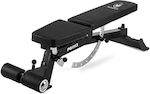 Pegasus Adjustable Workout Bench